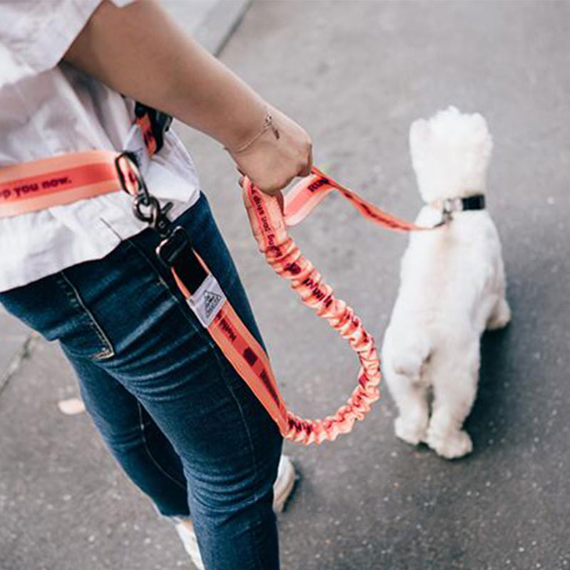 Running Jogging Gear - 調節可能なハンズフリー犬のリード犬ペットウォーキングランニングジョギング犬のリードウエストベルトチェストストラップ牽引ロープペットの首輪
