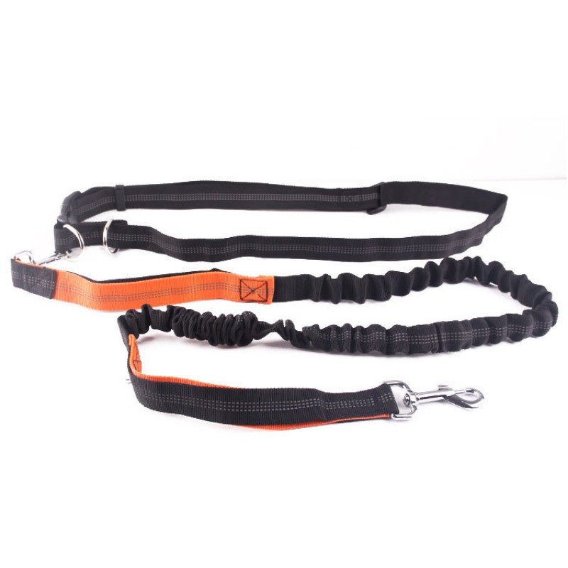 ハンズフリー犬用リード ペットの散歩、ランニング、ジョギング - Running Jogging Gear のレビューと価格